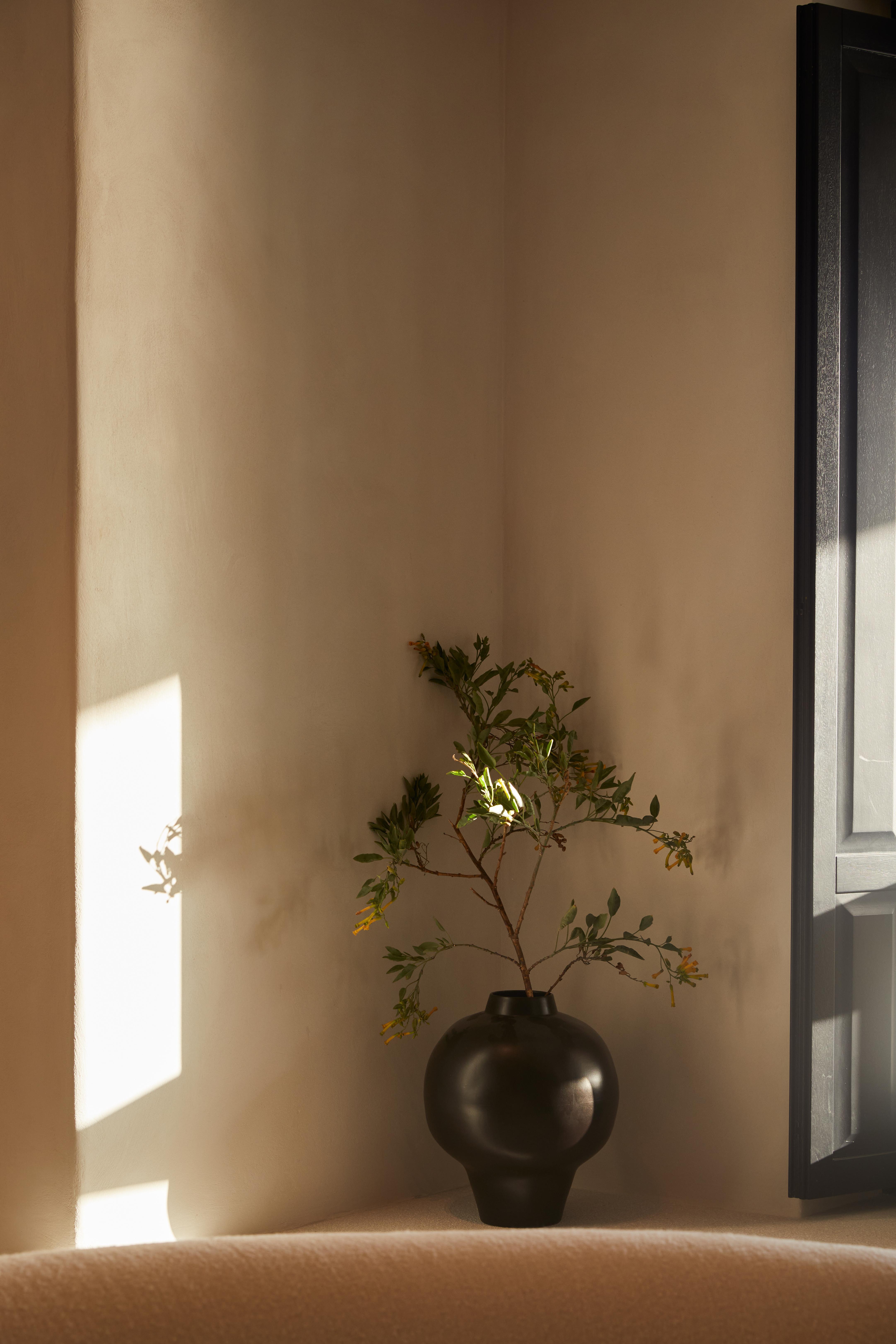 Anandes Hotel (Adults Only) Mykonos Town Eksteriør bilde